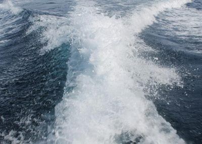 chambel_15_49