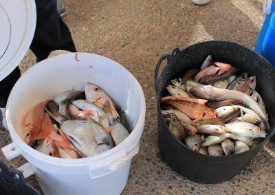 pesca_320