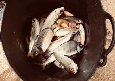 IMG-20180414-WA0009