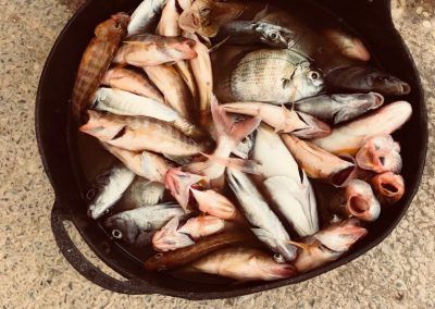 IMG-20180414-WA0010