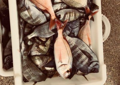 IMG-20180414-WA0012