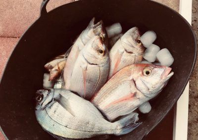 IMG-20180414-WA0015