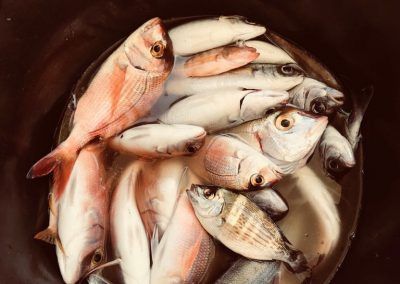 IMG-20180414-WA0016
