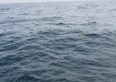 IMG_8350